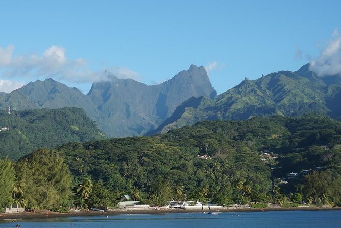 Private Big Game Fishing Day - What the $1,587.58 Group Price Means