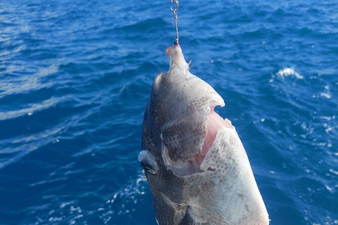 Private Big Game Fishing Tour in Raiatea - A snorkeling break for a change of pace