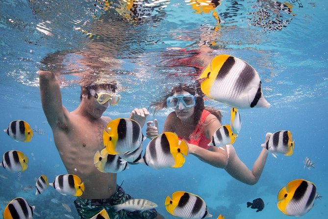 Private Boat Rental on Cap Camarat 17ft - A private way to see Bora Bora’s lagoon
