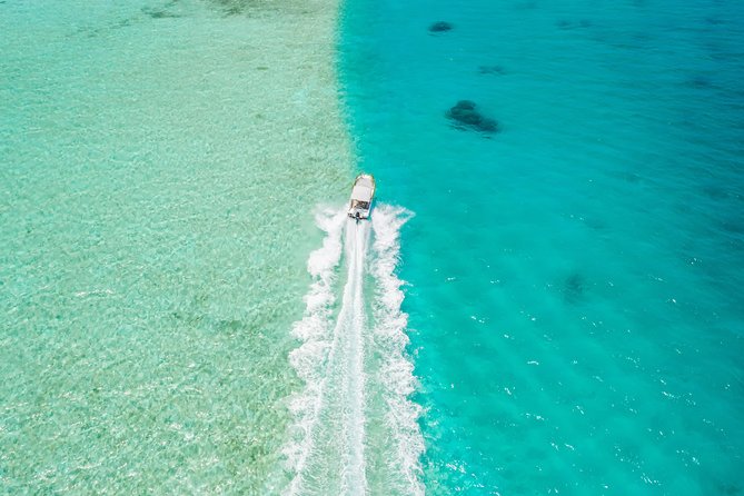 Private Boat Rental on Cap Camarat 17ft - Snorkeling with sharks, rays, and reef fish