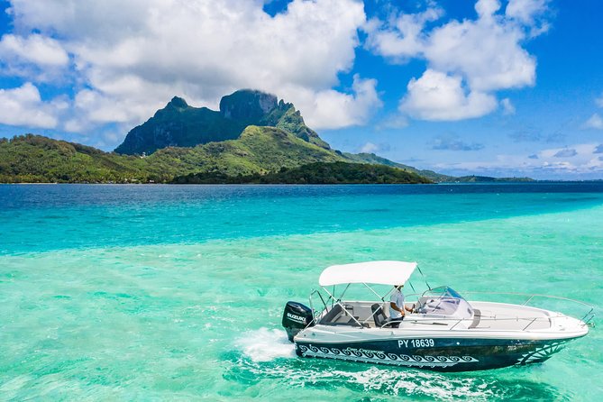Private Boat Rental on Cap Camarat 25ft - Coral Gardens and the Search for Marine Life