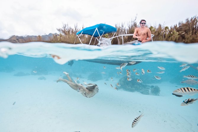Private Boat Tour of Moorea Lagoon - Fruit, chilled juice, and a welcome break