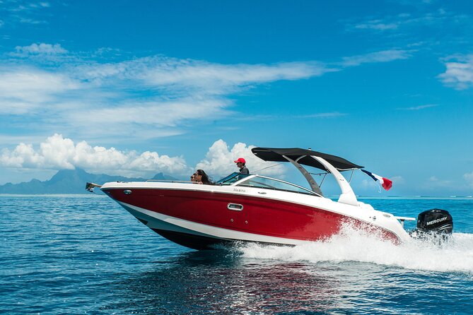 Private Boat Trip with Sunset / sunset cruise - Key points to know before you book