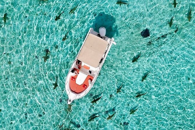 Private Bora Bora Lagoon Experience - A good choice for families and uneasy swimmers