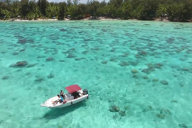 Private Bora Bora Lagoon Experience - Coral gardens are the strongest part for many people