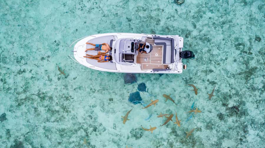 Private Bora Bora Lagoon Snorkel Cruise with BBQ Picnic - Should you book the Private Bora Bora Lagoon Snorkel Cruise?