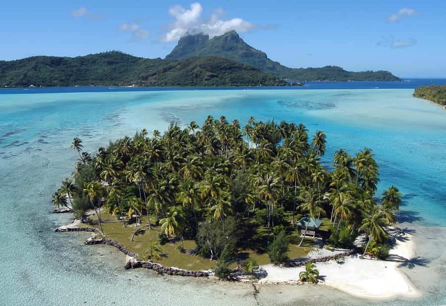 Private Bora Bora Lagoon Snorkel Cruise with BBQ Picnic - Three hours among rays, sharks, and reef fish
