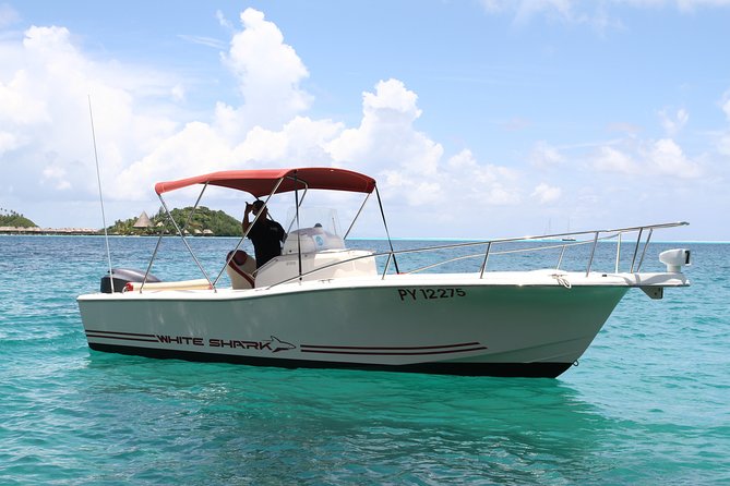 Private Bora Bora Lagoon & Water Lunch Experience - Who should book this Bora Bora outing?