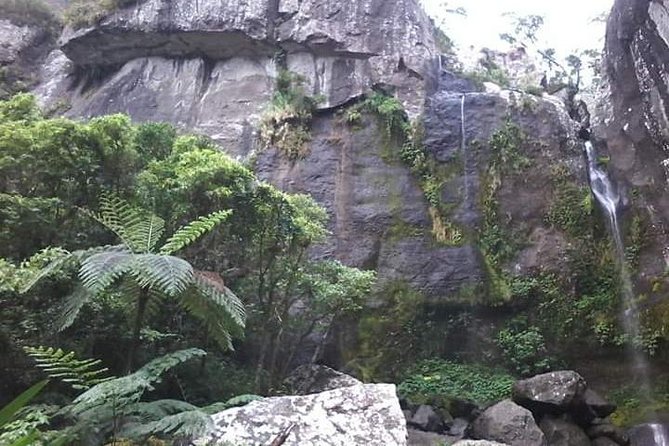 Private Breathtaking Koroyanitu Half Day Waterfall Hike - Koroyanitu Heritage Park and the waterfall trail
