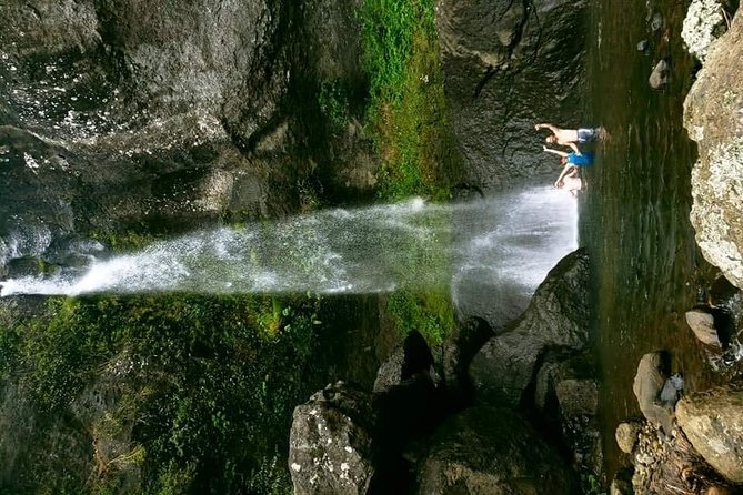 Private Breathtaking Koroyanitu Half Day Waterfall Hike - Who should book this hike?
