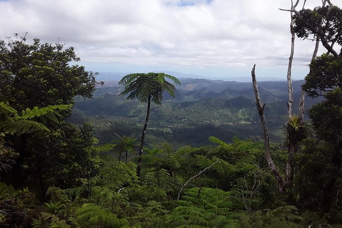 Private Breathtaking Mnt Victoria Day Trek - Nadarivatu and the rough road to Navai Village