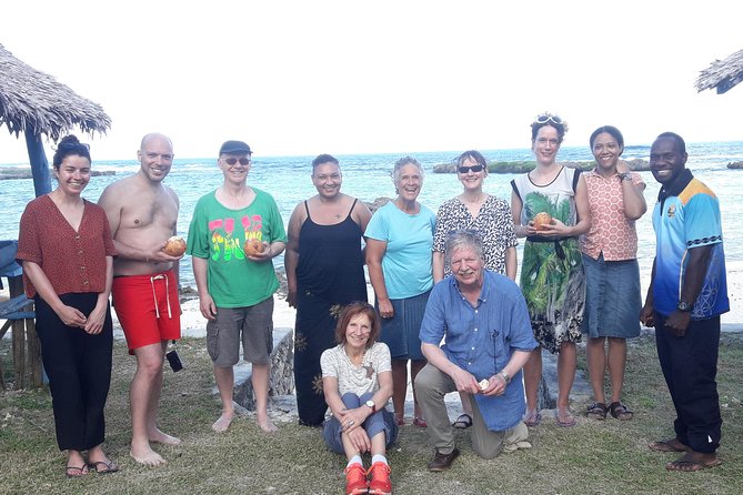 Private Daily Mini Van Hire Including Tour Guide - Blue Lagoon, turtles, and water-based stops
