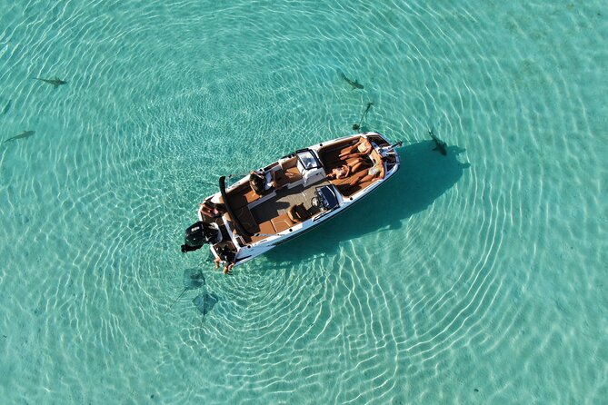 Private Day Trip Hike and Boat in Moorea - Timing, meeting point, and weather planning
