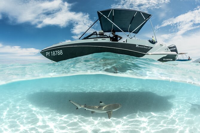 Private Day Trip Hike and Boat in Moorea - Who should book this full-day combination