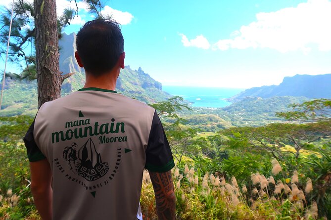 Private Day Trip Hike and Boat in Moorea - A local meal at the motu near Opunohu Beach