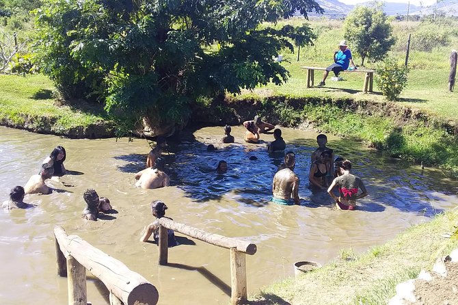 Private Denarau Shore Excursion - Temple, Shopping, Market, Garden & Mud Pool - Key points to know before booking