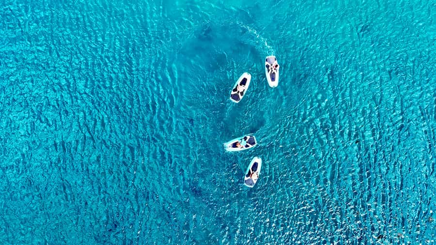Private E-Board Tour of Moorea Lagoon - Key points before you book