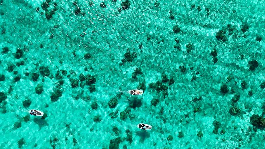Private E-Board Tour of Moorea Lagoon - Gliding across Moorea Lagoon on an E-board