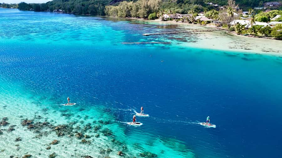 Private E-Board Tour of Moorea Lagoon - Why the private guide matters