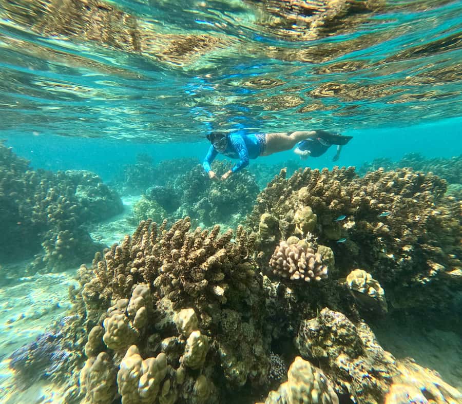 Private E-Board Tour of Moorea Lagoon - Who will enjoy this activity most