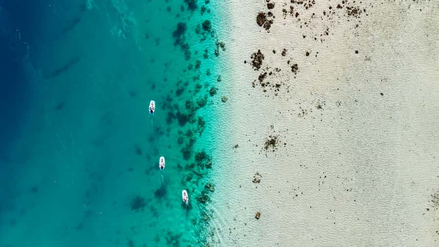 Private E-Board Tour of Moorea Lagoon - Should you book the Moorea Lagoon E-board tour?