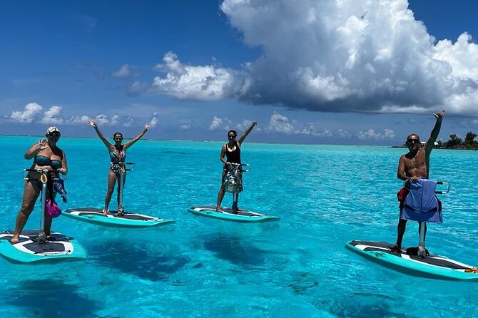 Private Electric Paddle Cruise in Bora Bora - Looking for fish, rays, and sharks