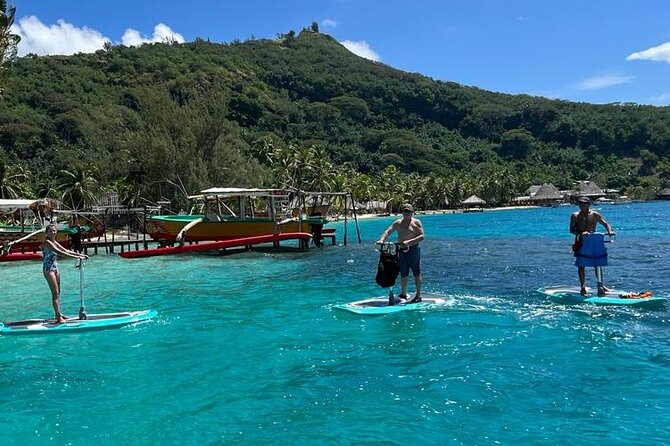 Private Electric Paddle Cruise in Bora Bora - Why the quiet motor matters