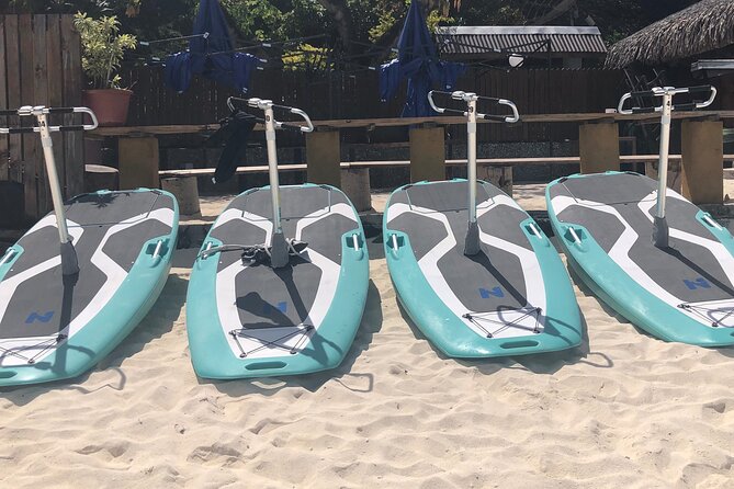 Private Electric Paddle Cruise in Bora Bora - Is $55 a fair price?