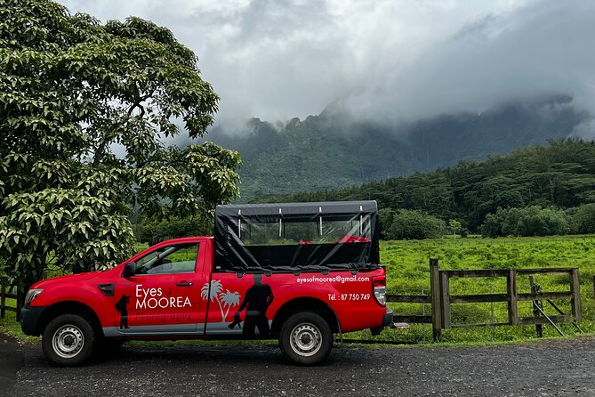 Private excursion to Moorea, photo tour & immersive discovery - Why the Private Format Matters