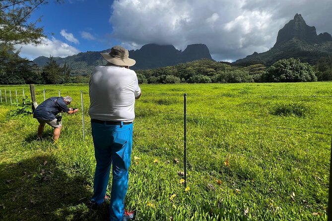 Private excursion to Moorea, photo tour & immersive discovery - Who Will Get the Most From This Tour