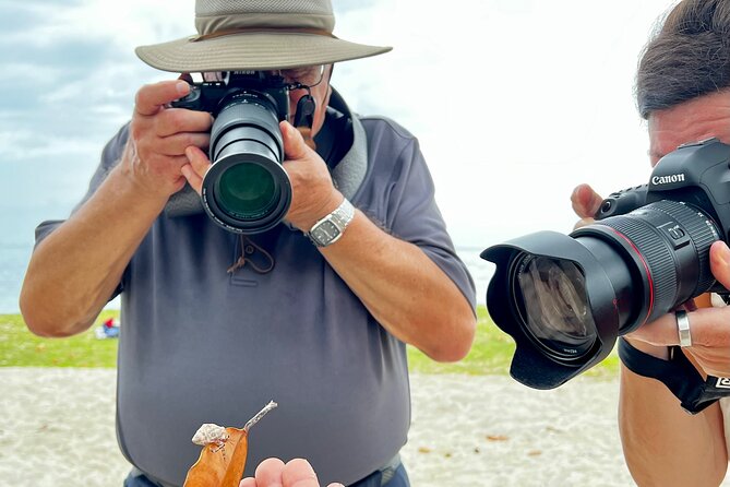Private excursion to Moorea, photo tour & immersive discovery - Opunohu Bay and the Quiet Side of Moorea
