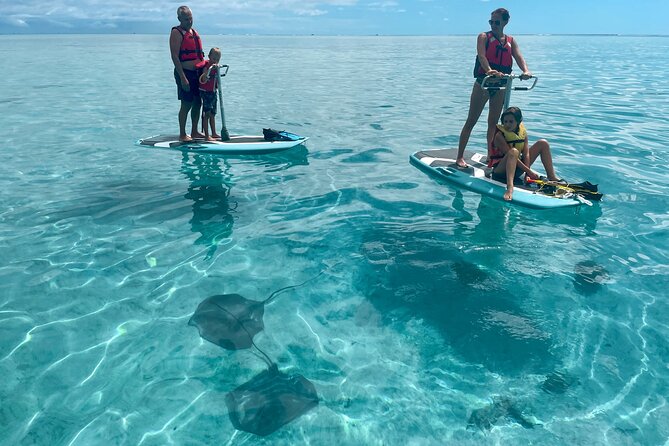 Private Excursion with E-Board in Moorea with snorkeling - A quiet way to see Moorea’s lagoon