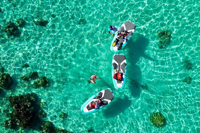 Private Excursion with E-Board in Moorea with snorkeling - Who will enjoy this Moorea outing?