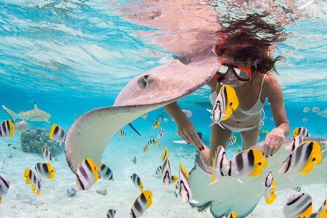 Private Full Day Aquatic Photo Tour + Resort Photo-Shoot (All inclusive) - A private boat replaces the usual island loop