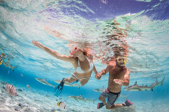 Private Full Day Aquatic Photo Tour + Resort Photo-Shoot (All inclusive) - What the $2,450 price really buys you