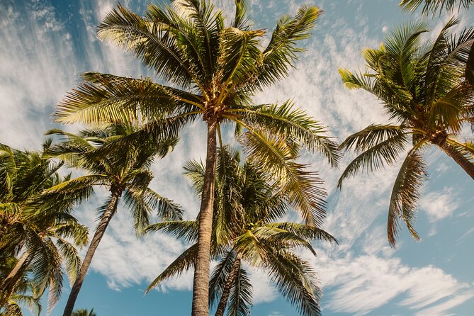 Private Full-Day Lagoon Adventure in Bora Bora with BBQ Lunch - What the private format is really worth