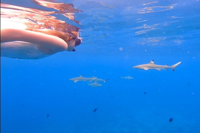 Private Full Day Lagoon Safari and Lunch on a Motu in Bora Bora - Who will enjoy this lagoon safari most