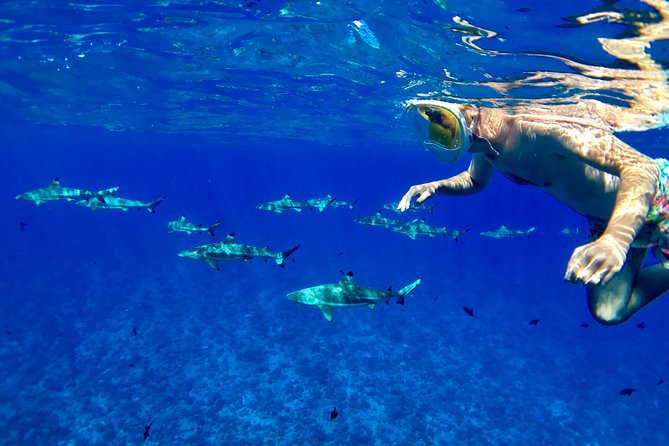 PRIVATE FULL DAY LAGOON TOUR - Bora Bora Cultural Lagoon Tour - Key points to know before booking