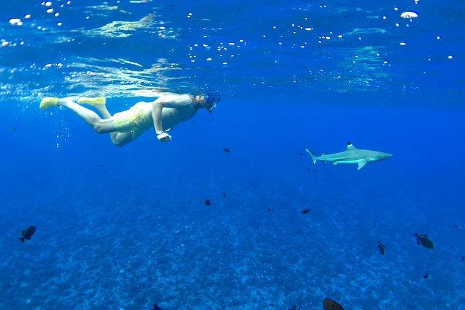 PRIVATE FULL DAY LAGOON TOUR - Bora Bora Cultural Lagoon Tour - A six-hour introduction to Bora Bora from the lagoon