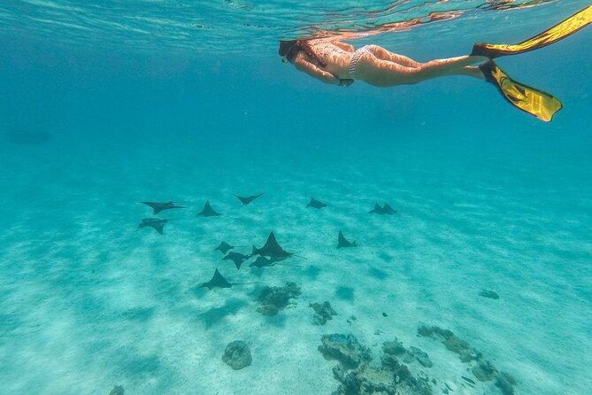 PRIVATE FULL DAY LAGOON TOUR - Bora Bora Cultural Lagoon Tour - How the private price works for different groups