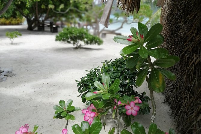 PRIVATE FULL DAY LAGOON TOUR - Bora Bora Cultural Lagoon Tour - The manta-ray rendezvous