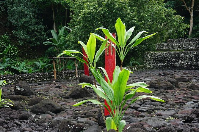 Private Full-Day Tahiti — Grotto, Gardens & Panoramas - Vaipahi Water Gardens and an easy botanical walk