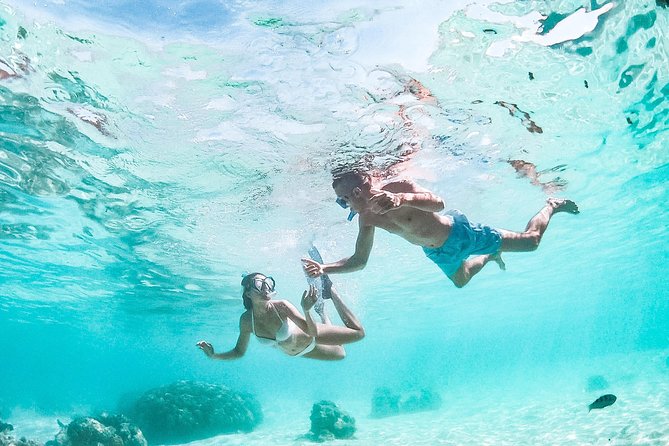 PRIVATE Full Day Tour : Moorea Snorkeling & Sailing on a Catamaran named Taboo - Quiet beaches and the question of lunch