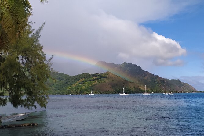 Private Guided Tour around the Moorea Island - Why a vintage buggy is a smart way to see Moorea