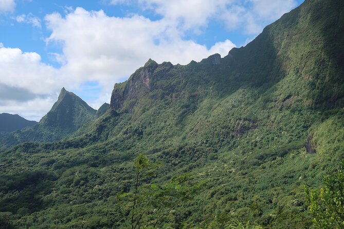 Private Half-Day Hike in the Opunohu Valley in Moorea - Archaeological trails add depth to the walk