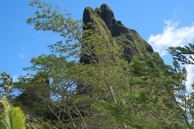 Private Half-Day Hike in the Opunohu Valley in Moorea - Is $668 good value?