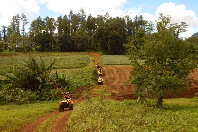 Private Half-Day Hike in the Opunohu Valley in Moorea - How to prepare for the four-hour outing
