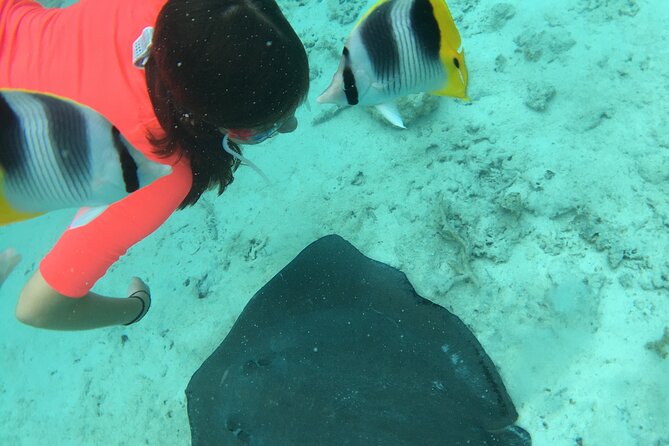 PRIVATE HALF DAY LAGOON TOUR - Bora Bora Cultural Lagoon Tour - Meeting the stingrays in shallow water