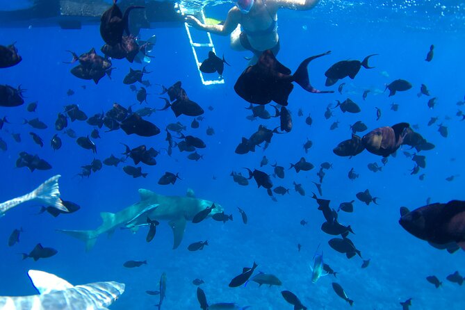 PRIVATE HALF DAY LAGOON TOUR - Bora Bora Cultural Lagoon Tour - Who will enjoy this lagoon tour most