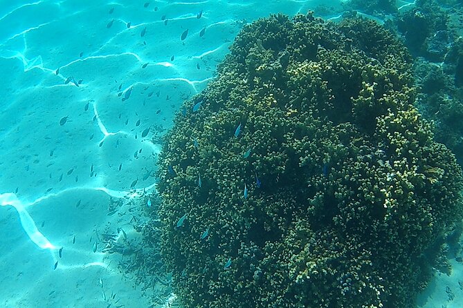 Private Half Day Sailing Excursion on the Lagoon of Tahiti - The second anchorage: shallow water and a slow break